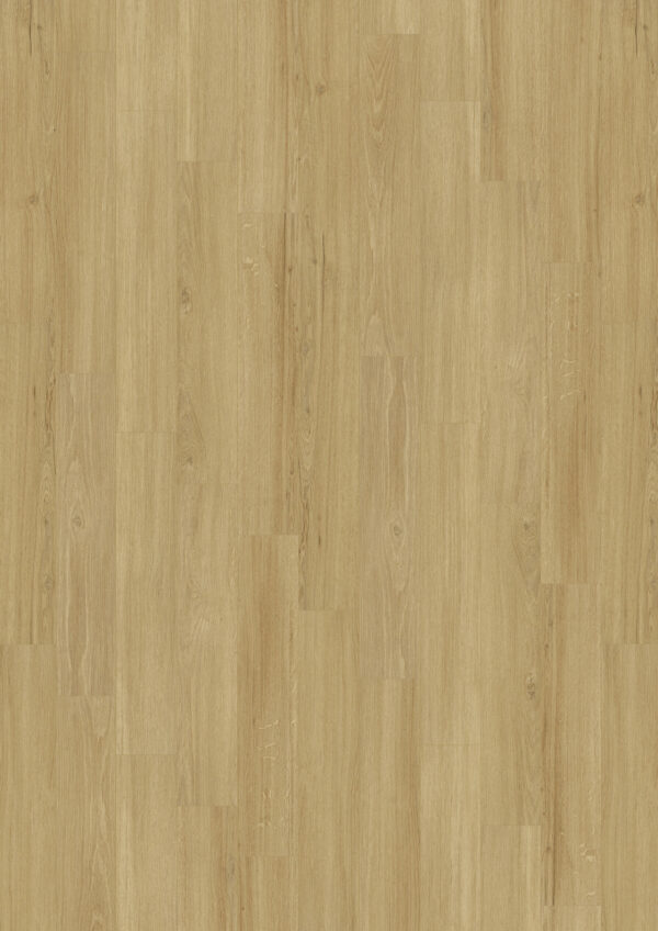 JOKA Deluxe 555 Cycle 5380 Incredible Light Oak Fischgrat - obrazek 2