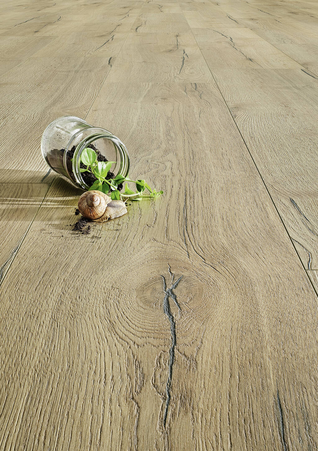 JOKA Deluxe 532 ND Skyline 5633 Oak kolonial creme - obrazek 3