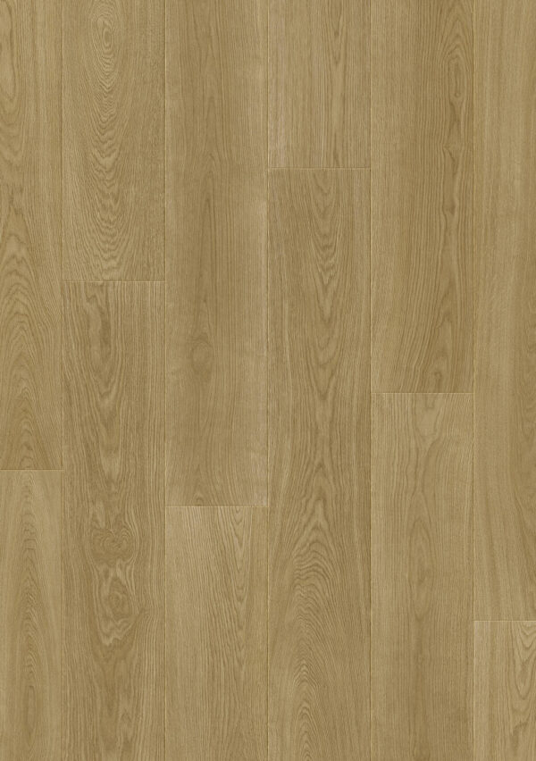 JOKA Deluxe Xplora Next 832 8655 Oak infinity gold